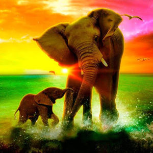 Meet your Posher, Leah